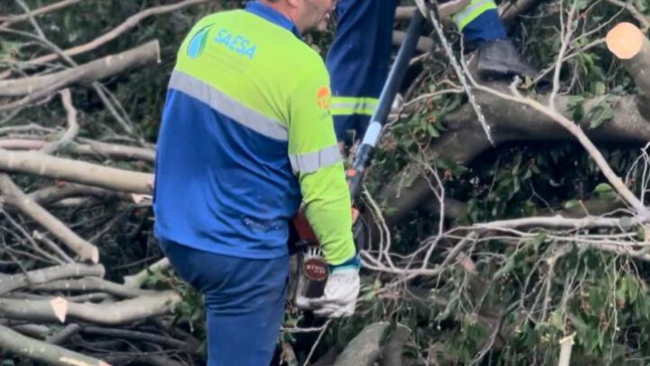 Após ventania, força-tarefa da Prefeitura de São Caetano garante retomada dos serviços na cidade