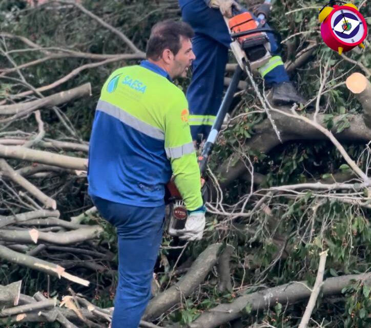 Após ventania, força-tarefa da Prefeitura de São Caetano garante retomada dos serviços na cidade