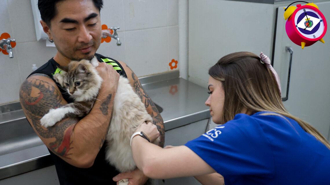 São Caetano promove última campanha de vacinação antirrábica do ano