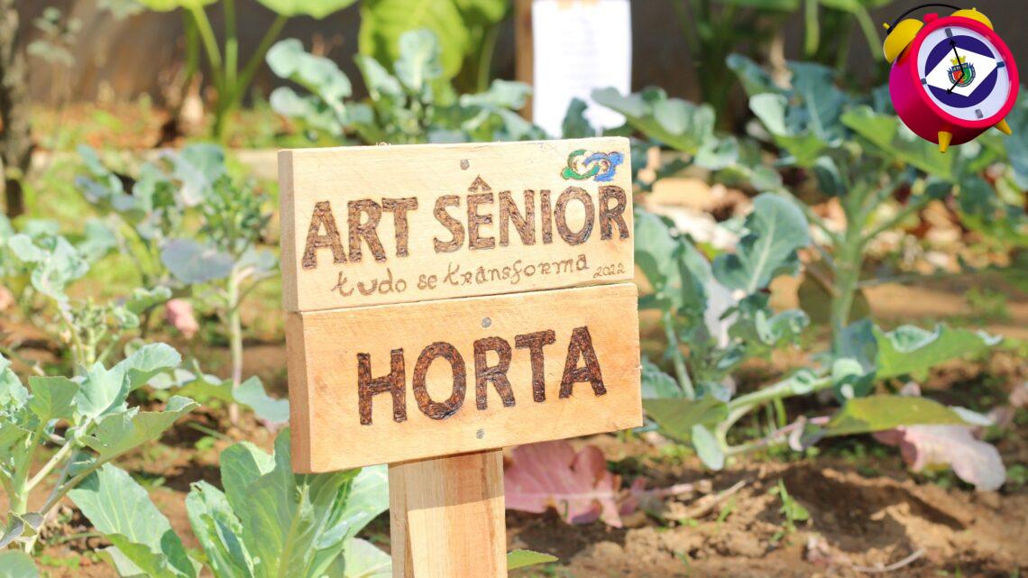 Prefeitura de São Caetano abre rematrículas para atividades do Grupo ART Sênior