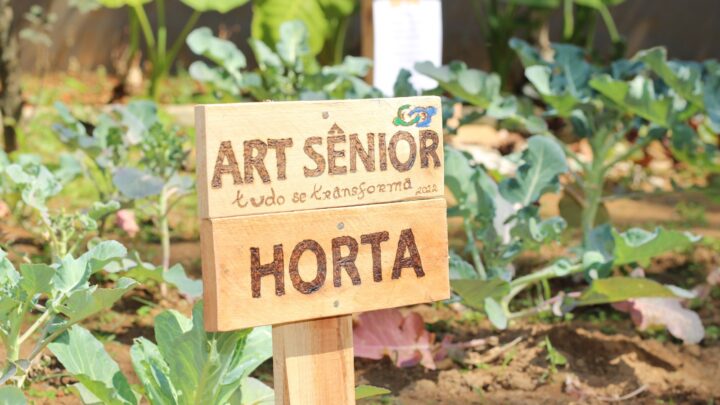 Prefeitura de São Caetano abre rematrículas para atividades do Grupo ART Sênior