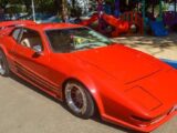 Exposição de carros antigos no Bosque do Povo